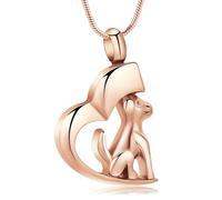DOTUIARG Urn Necklace for Ashes Dog Cremation Jewelry Stainless Steel Ashes Pendant Pet Dog/Cat Keepsake Memorial Jewelry for Man Women