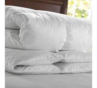 Double Anti Allergy Zippered Duvet Quilt Protector Breathable|Anti Allergy|Anti Dust Mite|Anti Sneezing|Anti Itching|Wipe off with Wet cloth Bed bug proof (Anti Allergy Duvet Protector, Double)