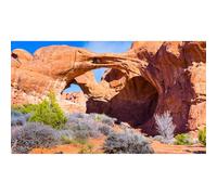 Double Arch Reptile Terrarium Background Sunny Blue Sky Bush Thorns Terrarium Background Arid Barren Cactus Sandstone Reptile Tank Background Arch Rock Mountain Reptile Habitat Background 24x12in