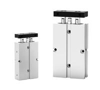 Double-axis Double-Rod Cylinder, Pneumatic Twin-Rod Cylinder Aluminum Alloy 10-32mm Bore 10-200mm Stroke with Magnetic(Stroke 40mm,TN16)