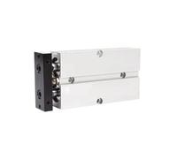 Double-axis Double-Rod Cylinder, Twin-Rod Dual Pneumatic Cylinder Aluminum Alloy 10-32mm Bore 10-200mm Stroke(Stroke 40mm,TN20)