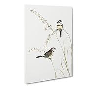 Double Barred Finch Bird By Elizabeth Gould Canvas Print | Gallery Wrapped 30mm Frame Wall Art | 30x20 inches | Ready to Hang | Retro Animals Picture | Living Room Bedroom Lounge Office