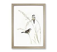 Double Barred Finch Bird By Elizabeth Gould Vintage Framed Print | A2 Oak Framed Wall Art | Ready to Hang | Classic Nature Picture | Living Room Bedroom Lounge Office