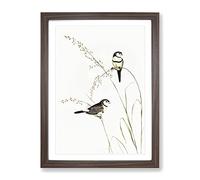 Double Barred Finch Bird By Elizabeth Gould Vintage Framed Print | A3 Walnut Framed Wall Art | Ready to Hang | Classic Nature Picture | Living Room Bedroom Lounge Office