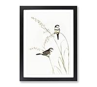 Double Barred Finch Bird By Elizabeth Gould Vintage Framed Print | A4 Black Framed Wall Art | Ready to Hang | Classic Nature Picture | Living Room Bedroom Lounge Office