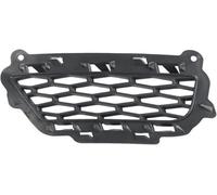 Double Bridge Grill for Range For Rover For Evoque For L538 For Dynamic For Version 2016-2018 Vehicle front grille(L)