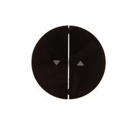 Double Button with Arrow Symbol "Berker R.1/R.3 16252045