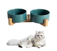 Double Ceramic Cat Bowls 400ML Raised Cat Feeder Bowl Small Pets Stylish Feeding Bowls with Wooden Stand, for Cats and Small Pets Eating Food & Drinking Water Anti Vomit (Green)