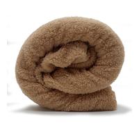 (Double, Champagne Gold) Teddy Bear Fleece Fitted Sheet Warm Thermal Sheet