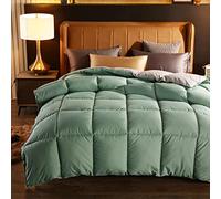 Double Det 13.5 Tog,Natural White Down Det,Soft Touch Luxury Bedding,Spring/Autumn/Winter Single Double Warm Lightweight Down Comforter,C,150x200cm (3kg)