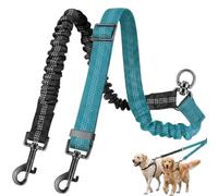 Double Dog Lead, No Tangle Design for Walking 2 Dogs, 360°Swivel Rotation Training Lead for Dogs, Dual Dog Lead Adjustable Shock Shock Absorbing Walking Training Outdoor Adventures, Lake Blue