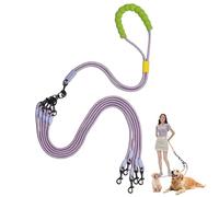 Double Dog Leash No Tangle, Adjustable Split Leads Five Pet Walking Leash with Comfortable Padded Handle for Five Dogs, Hands - Free Five Leashes for Small/Medium Pets (Purple, Five Leashes)