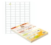 Double Dragon, 100 Sheets Pack A4 Self Adhesive Address Labels Sticker Paper, 65 Labels Per Sheet, 38.1 x 21.2mm (6500 Labels)