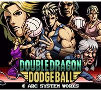 Double Dragon Revive - Pre-Order Bonus DLC PS5 CD Key