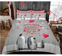Double Duvet Set Penguin Kids Bedding Double Bed Set Soft Microfiber 3 Piece Christmas Heart Shaped Balloons Bedding Teenager Room Decoration Duvet Covers with 2 Pillow Case (Double，200x200cm)