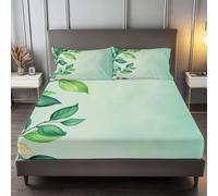 Double Fitted Sheet 30 cm Deep, Watercolor Plant Leaves Elegant Brushed Microfiber Ultra Soft No-Iron Wrinkle-Resistant Fitted Bed Sheets Hypoallergenic Breathable Sheets, Light Green