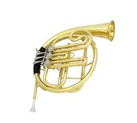 Double French Horn Adults 3 Keys F Tuning Bb French Horn Brass Instrument Golden Split With Accessories