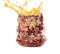 Double Glass Coffee Cups | Dried Flower Coffee Glass Tea Cup,Reusable Tumbler Drinkware Containers Home Decor Girls Women Cappuccino Latte Tea Juice Water Hot Cold Beverage Kitchen