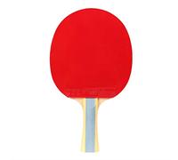 DOUBLE HAPPINESS DHS Ping Pong Table Tennis Paddle,Professional Racket with Carrying Case for Tournament Play (6002-Long Paddle)