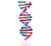 Double Helix DNA Model Kit DNA Structure Models Human Genes Learning Kit for Biological Teaching Prop