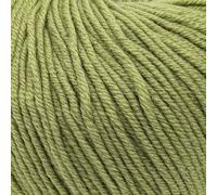 Double Knit-Weight (DK), 100% Superwash Fine Merino Wool Knitting and Crochet Yarn - Purely Merino DK 3326 Apple