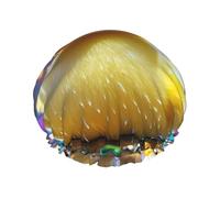 Double Layers Shower Cap For Women, Reusable Elastic Bathing Bath Cap Ducky With Sunglasses Hair Caps Waterproof Ladies Spa Salon Shower Hat Hair Caps