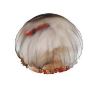 Double Layers Shower Cap For Women, Reusable Elastic Bathing Bath Cap Short-Haired Pomeranian Dog Hair Caps Waterproof Ladies Spa Salon Shower Hat Hair Caps