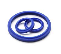Double Lip Steel Spring Seal, DHS Type Shaft Seal Polyurethane Hydraulic Oil Blue Multiple Sizes Pack of 245 Pcs(22x30x4.5x6(5pcs))