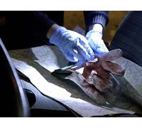 Double Murder in the Barn