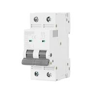 Double Phase Mini Circuit Breaker of 80A 100A 125A 2P Width 35.6mm 400V 6KA 1Pcs(100A)