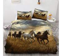 Double Reversible Duvet Cover Set Horse 3D Printed Golden Yellow Grassland Bedding Set Soft Microfiber Quilt Cover Set 3 PCs Comforter Cover with Zipper Closure and 2 Pillowcases 50x75 cm B-1