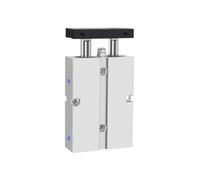 Double Rod Pneumatic Air Cylinder TN25/32/10X20X30X40X50X75X100S(TN32-70S)