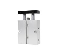 Double Rod Pneumatic Air Cylinder TN25X10X20X25X30X40X50X75X100X125S(TN25X40S)