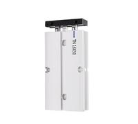 Double Shaft Double Rod Cylinder TN25*10X15/20/30/40/50/60/70/80/100/125/150 Double Acting Air Pneumatic Cylinder with Quick Response, Flexible Control(25X30)