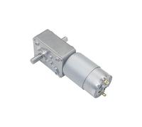 Double Shaft Large Torque Motor Reducer A58SW-555S Self Locking Reduction Gearbox 24v Worm Gear Motor 12v 1Pcs(16RPM_24V)