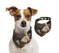 Double Sided Cotton Dog Birthday Bandana Girl Boy, Washable African Leopards Resting Dog Scarf Bibs for Small Medium Large Unisex Dogs Cats Pets Medium