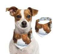 Double Sided Cotton Dog Birthday Bandana Girl Boy, Washable Cartoon Teddy Bears Walking in The Snow Dog Scarf Bibs for Small Medium Large Unisex Dogs Cats Pets Medium