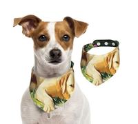 Double Sided Cotton Dog Birthday Bandana Girl Boy, Washable Golden Retriever Resting Dog Scarf Bibs for Small Medium Large Unisex Dogs Cats Pets Large
