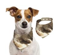 Double Sided Cotton Dog Birthday Bandana Girl Boy, Washable Lazy Little cat Under The Sunshine Dog Scarf Bibs for Small Medium Large Unisex Dogs Cats Pets Small