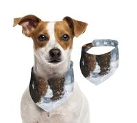 Double Sided Cotton Dog Birthday Bandana Girl Boy, Washable Lonely Bear in The Blizzard Dog Scarf Bibs for Small Medium Large Unisex Dogs Cats Pets Medium