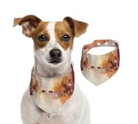 Double Sided Cotton Dog Birthday Bandana Girl Boy, Washable Mysterious and Blurry Streets Dog Scarf Bibs for Small Medium Large Unisex Dogs Cats Pets Large