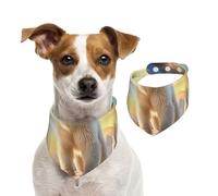 Double Sided Cotton Dog Birthday Bandana Girl Boy, Washable Polar Bear Under The Sunshine Dog Scarf Bibs for Small Medium Large Unisex Dogs Cats Pets Medium