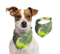 Double Sided Cotton Dog Birthday Bandana Girl Boy, Washable The Naive Little Rabbit Under The Sunshine Dog Scarf Bibs for Small Medium Large Unisex Dogs Cats Pets Small