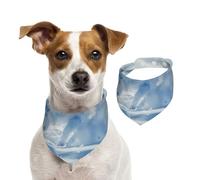 Double Sided Cotton Dog Birthday Bandana Girl Boy, Washable The Noble and Sacred Snow Wolf Dog Scarf Bibs for Small Medium Large Unisex Dogs Cats Pets Medium