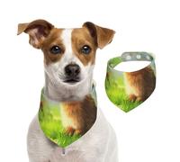 Double Sided Cotton Dog Birthday Bandana Girl Boy, Washable The Rabbit Watching The Birds in The Garden Dog Scarf Bibs for Small Medium Large Unisex Dogs Cats Pets Medium