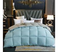 Double Size Goose Down Feather Duvet,100% Cotton Down Proof Fabric,Luxury Winter Quilts Thickened,Ultra Soft Quilt with Corner Tabs Hygroscopic Breathable Comforter Warm (Light Blue,200 * 230 cm 4kg)