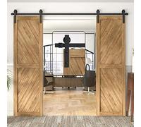 Double Sliding Barn Door Kit 305CM/10FT, Black Heavy Duty Sliding