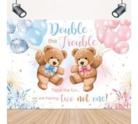 Double the Trouble Twice the Fun Decorations It's Twins Backdrop 5x3ft