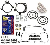 DOUBLE TWIN DUAL VANOS SEALS REPAIR SET KIT M52TU M54 M56 WITH GASKETS