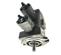 Double Variable Displacement Vane Pump VHOF12-08 Hydraulic Pump